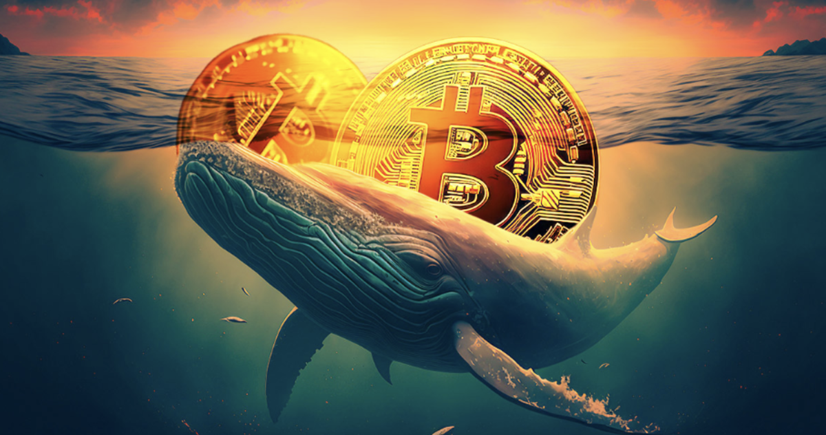 Une baleine retire 5 800 BTC de Binance, signalant un mouvement de fonds majeur